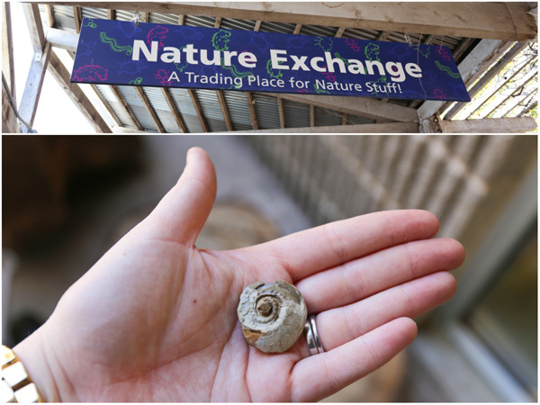 Nature Exchange