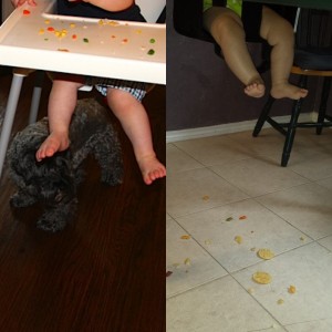 Dallas Moms Blog Toddler Must Have Dogs