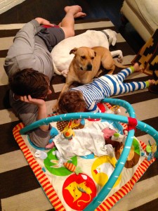 dogs and babies