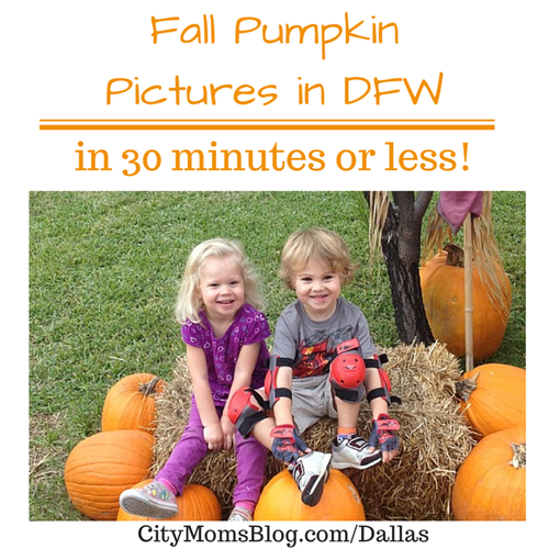 Fall Pumpkin Pictures in DFW (in under 30 minutes) | Dallas Moms Blog