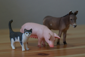 Toy Animals