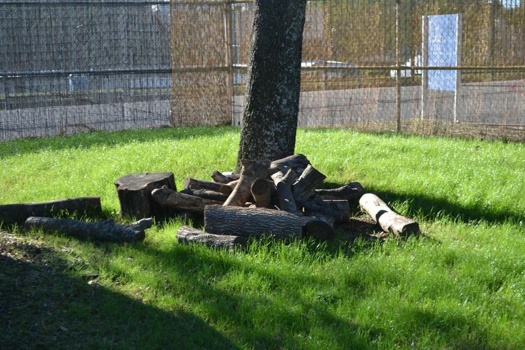 Pieces of logs and branches can be used as blocks, or to stack and build structures--Lincoln Logs anyone?