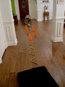 obstaclecourse#1_indoorfun_littlegym_dallasmomsblog