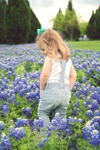 bluebonnet photos DFW