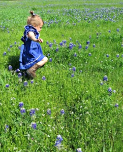 bluebonnet fields in dallas