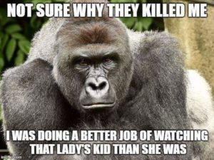 Harambe Meme