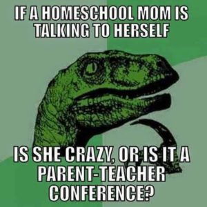 crazy homeschool mom