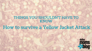 how to survive yellow jacket attack