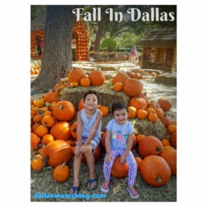 Fall In Dallas Dallas Moms Blog