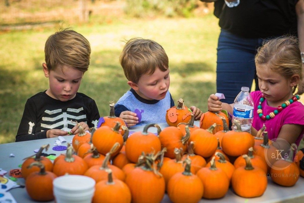 pumpkins