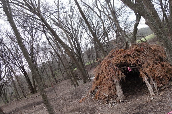 Steeplechase Park, where to hike in Plano with kids