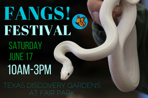 Fangs Festival Texas Discovery Gardens
