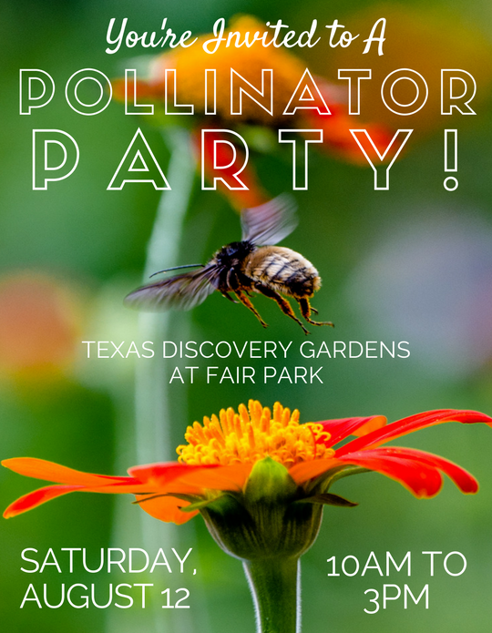 Texas Discovery Gardens Pollinator Party