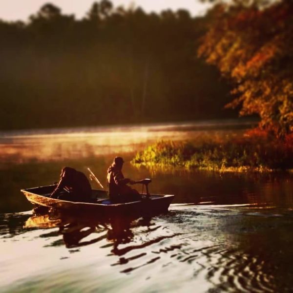 deer lake cabins