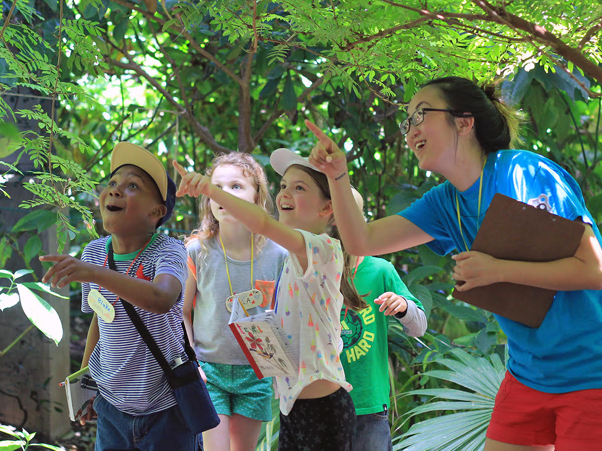 Texas Discovery Gardens day camps