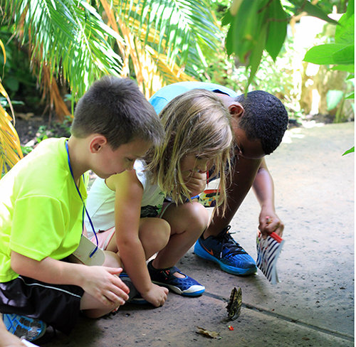 Texas Discovery Gardens day camps