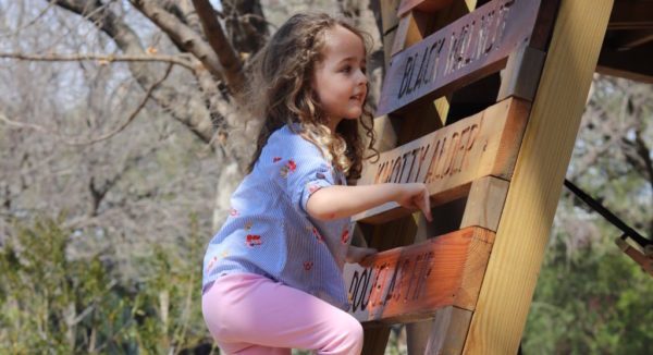 Texas Discovery Gardens Playscape Playground