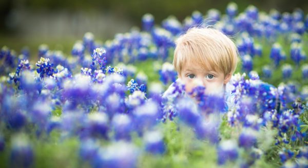 child in bluebonnets Dallas