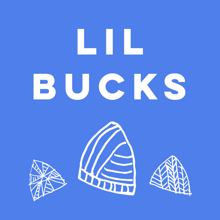 Lil Bucks LLC