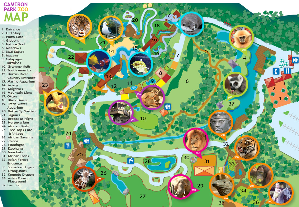 Cameron Park Zoo Map