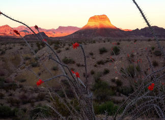 Texas State Parks Bucket List