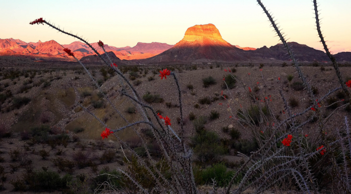 Texas State Parks Bucket List