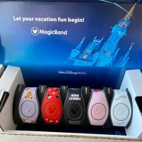 Magic Bands