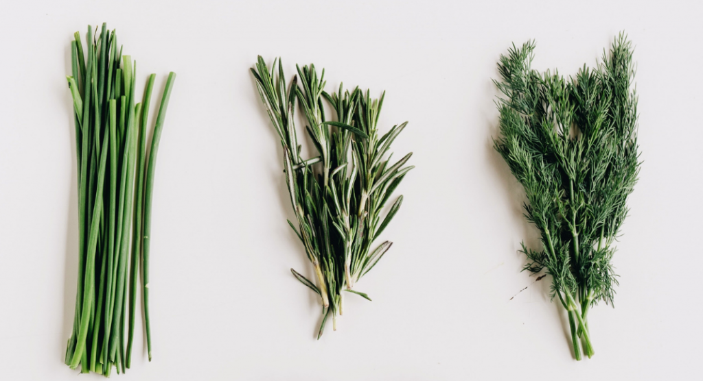 chives, rosemary, dill, good herbs to grow in Dallas