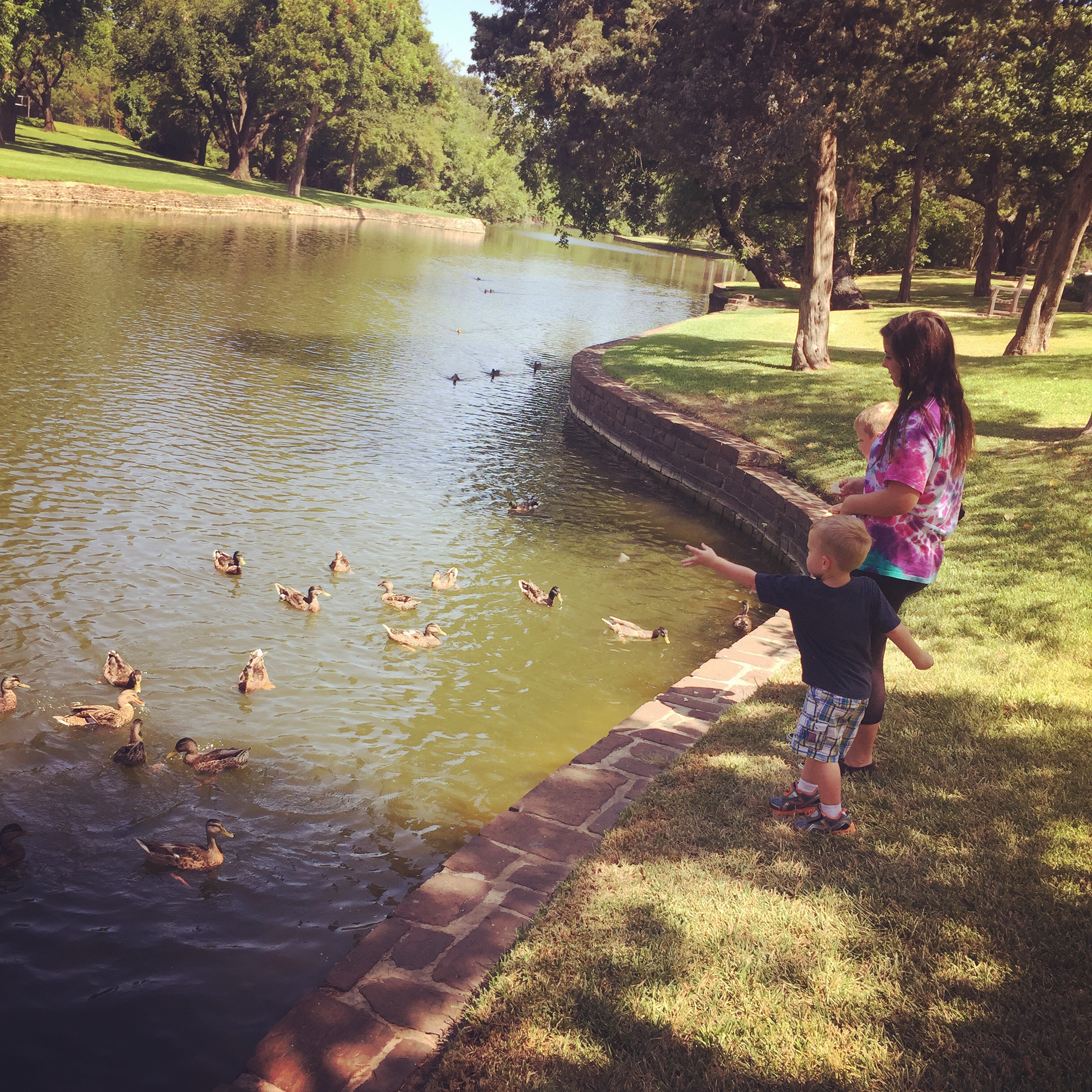 highland park duck pond dallas, fun things to do with kids in DFW