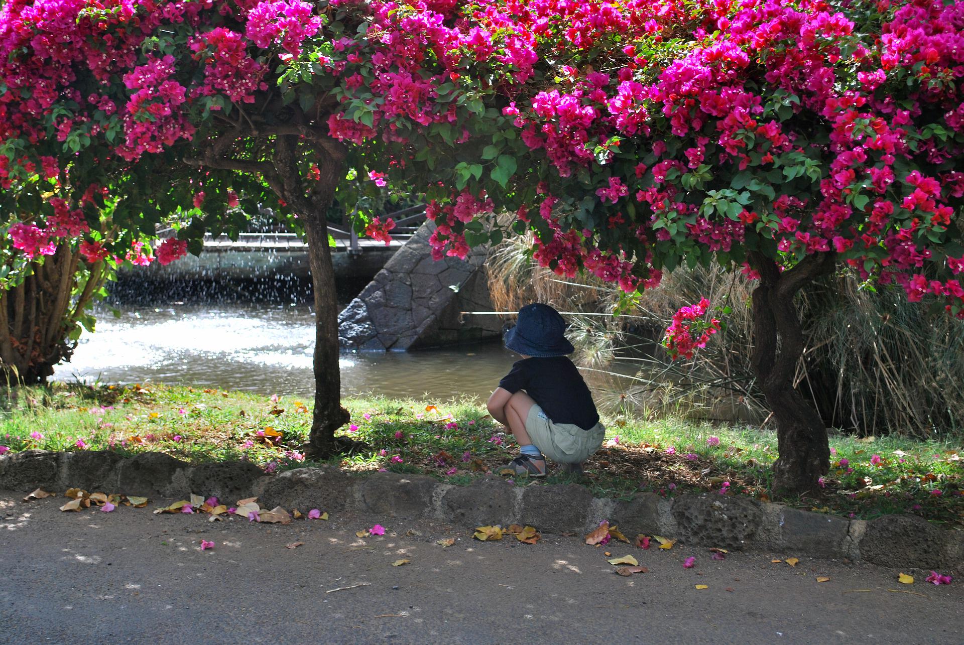 Boy sitting under a pink flowered tree near water, 1000 hours outside challenge Dallas