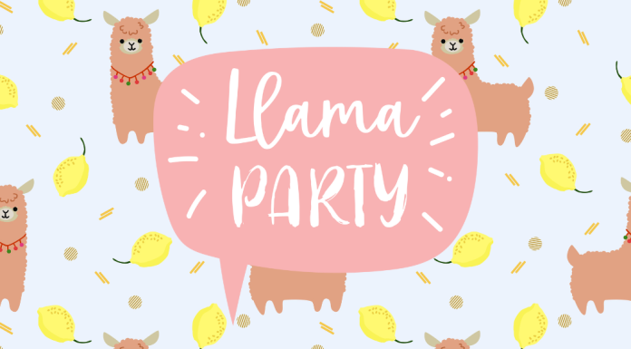 llama party ideas