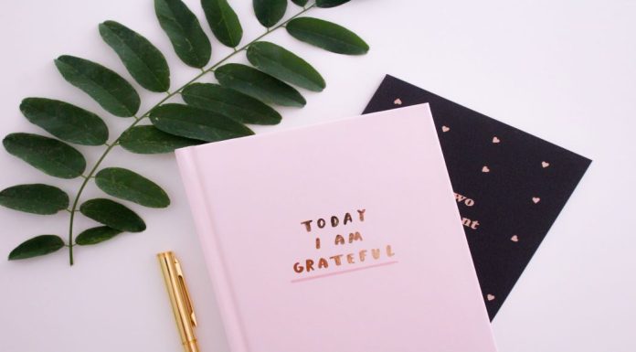 gratitude journal for moms