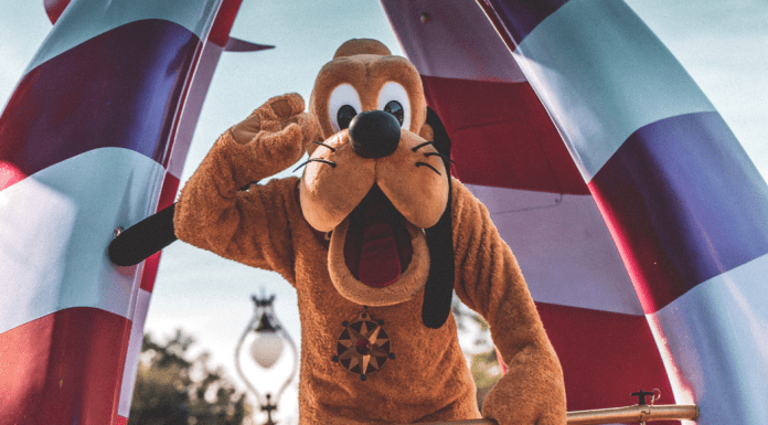 Goofy at Disneyland.