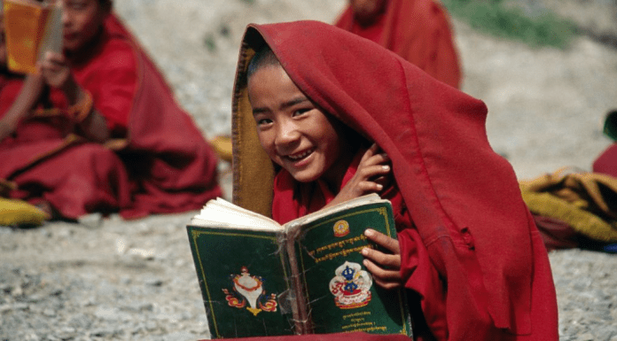 A boy reads a book under a red blanket.