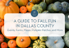 Dallas Moms Guide to Fall Fun in Dallas County: Events, Farms, Mazes, Pumpkin Patches, and More