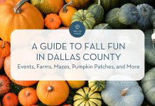 Dallas Moms Guide to Fall Fun in Dallas County: Events, Farms, Mazes, Pumpkin Patches, and More