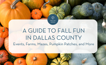 Dallas Moms Guide to Fall Fun in Dallas County: Events, Farms, Mazes, Pumpkin Patches, and More