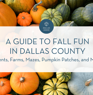 Dallas Moms Guide to Fall Fun in Dallas County: Events, Farms, Mazes, Pumpkin Patches, and More