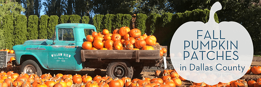 Dallas County pumpkin patches