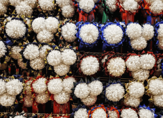 Homecoming mums with ribbons are a Texas tradition