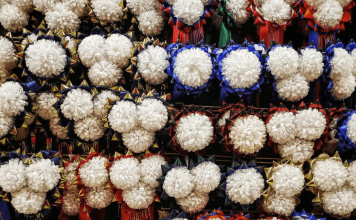 Homecoming mums with ribbons are a Texas tradition