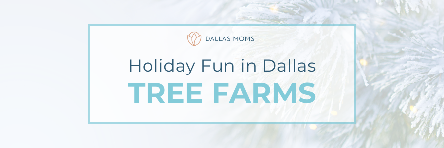 Holiday Fun in Dallas Tree Farms